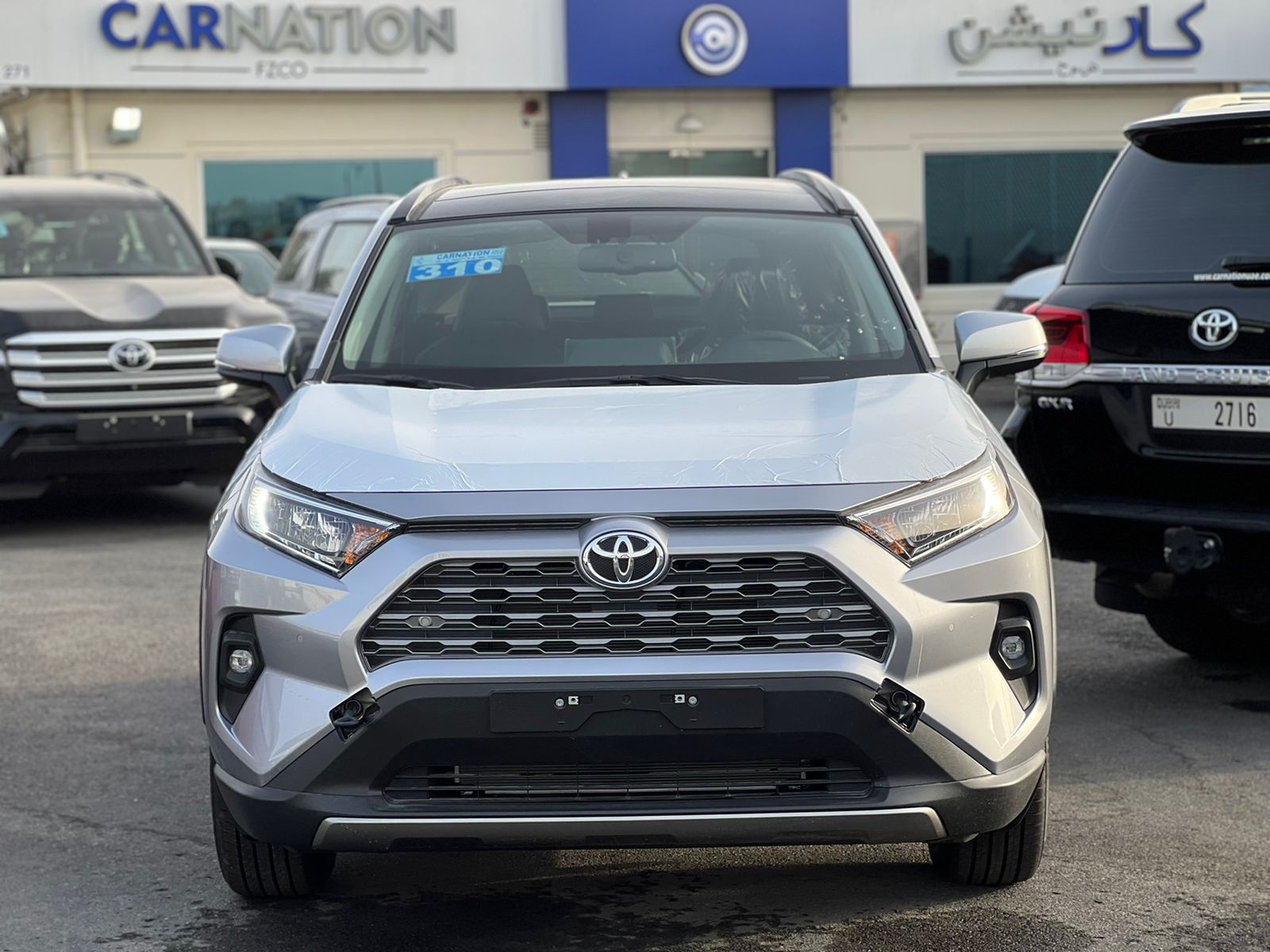 carnation's Product Image