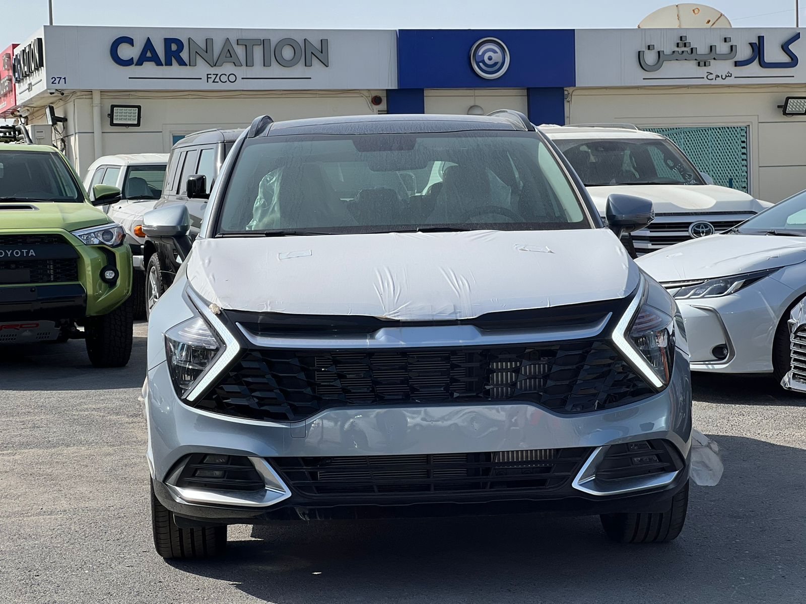 carnation's Product Image