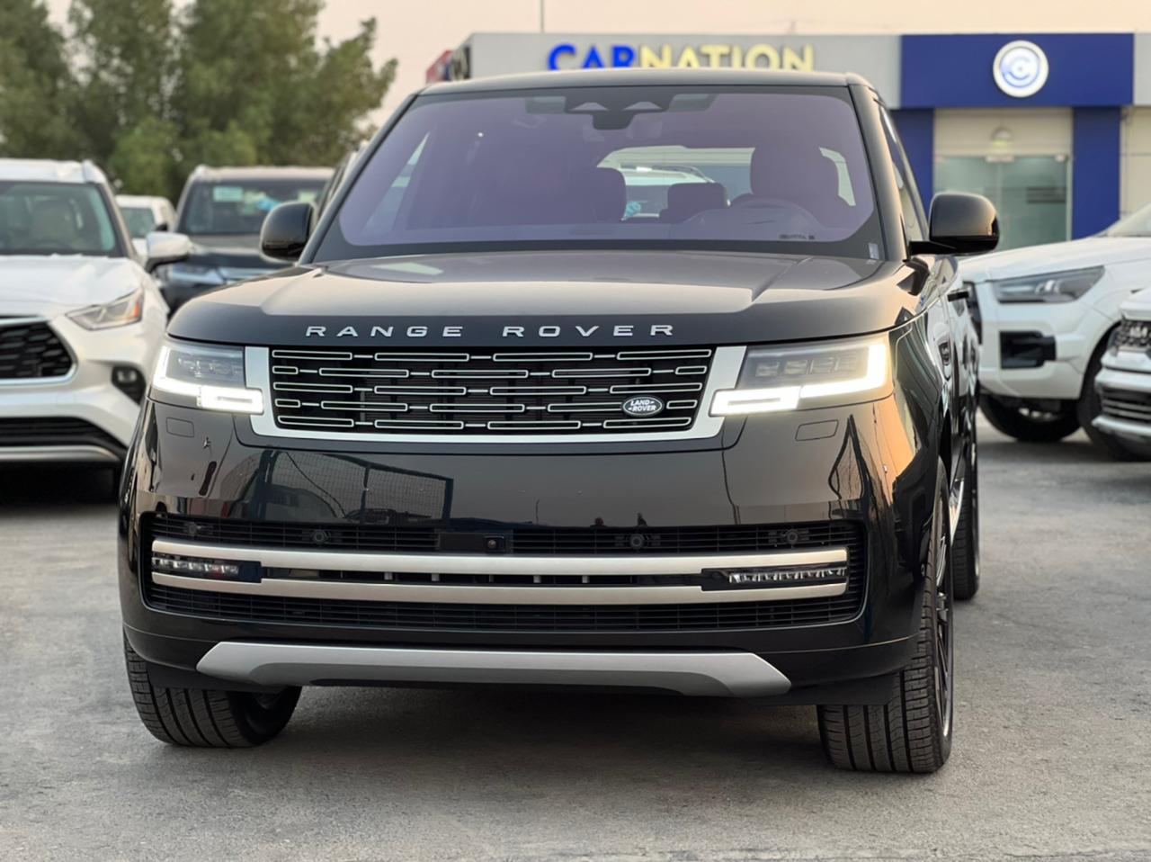 carnation's Product Image