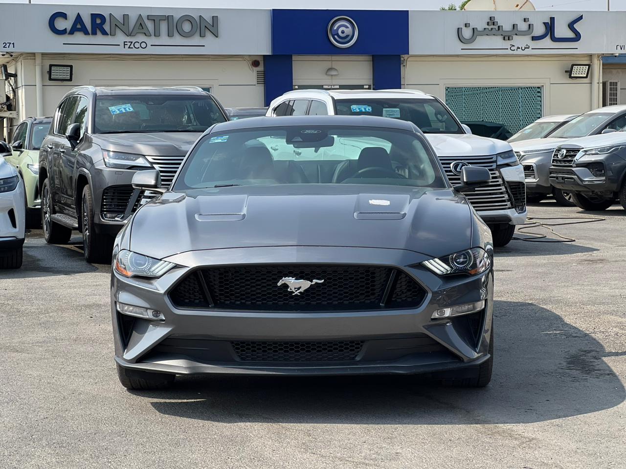 carnation's Product Image