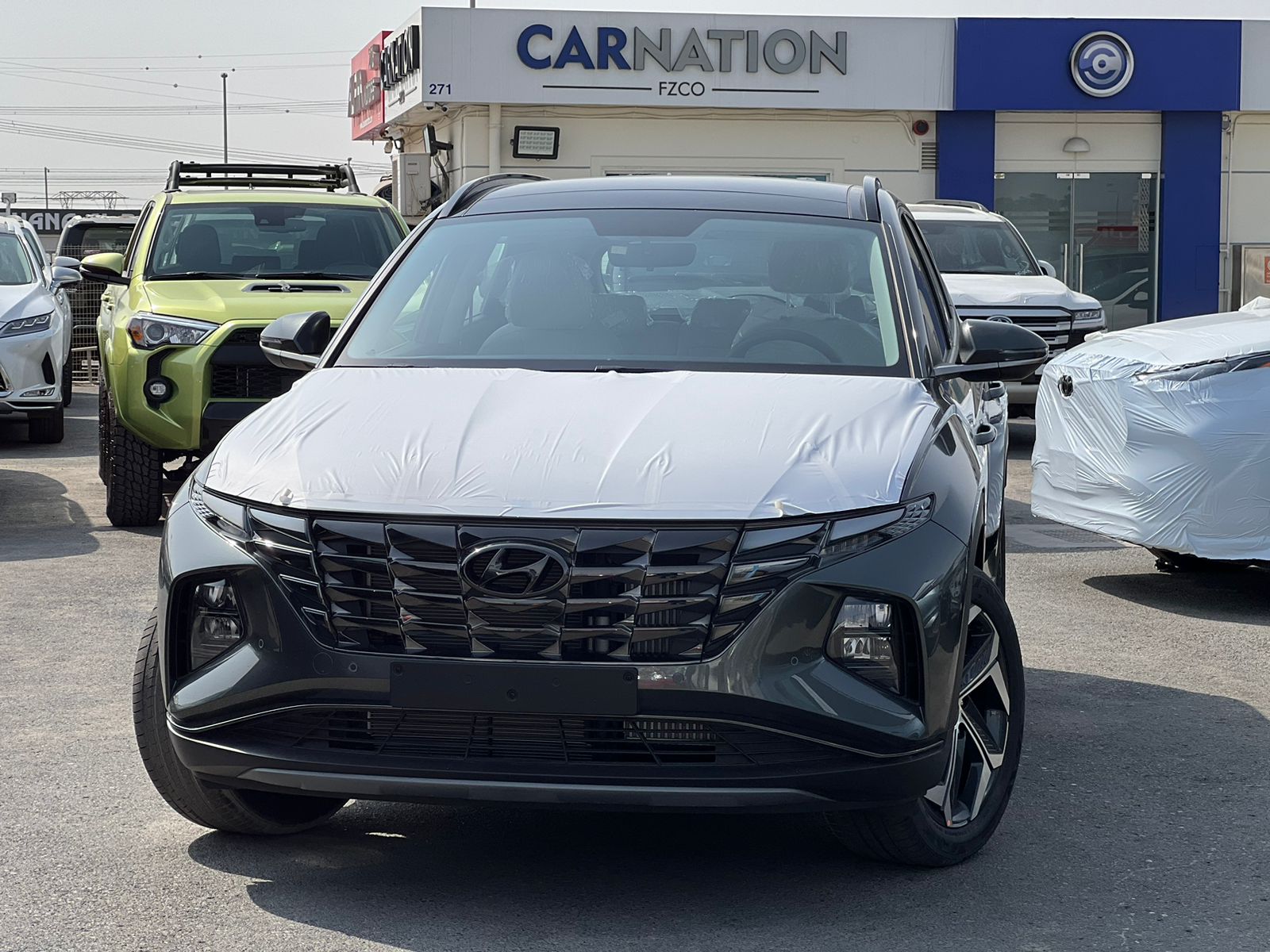 carnation's Product Image