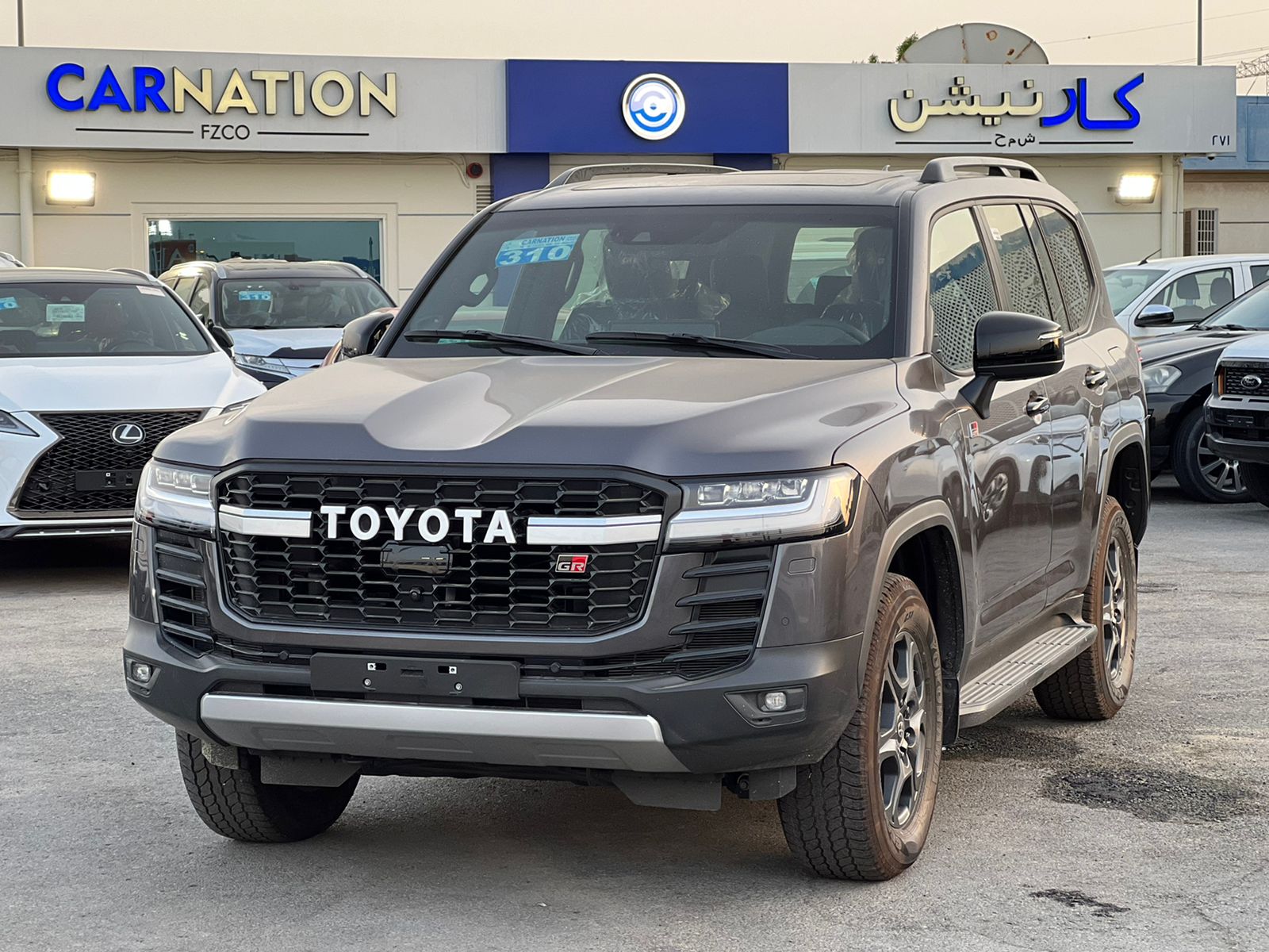 carnation's Product Image