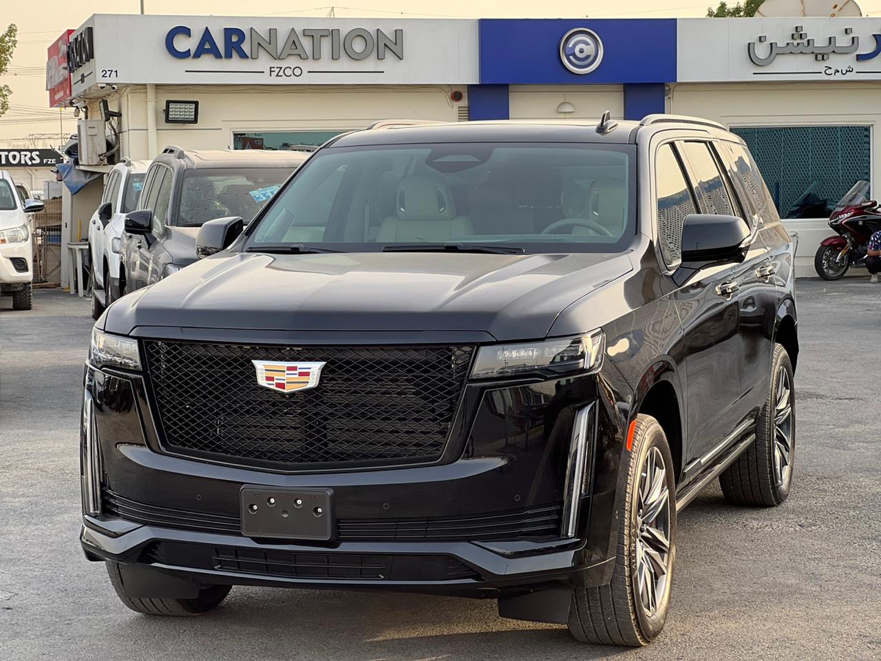 carnation's Product Image